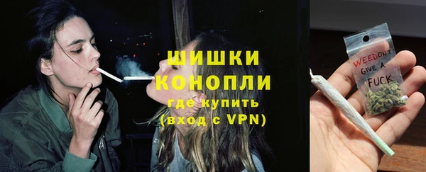 прущие грибы Янаул