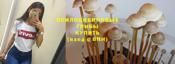 mdpv Алзамай