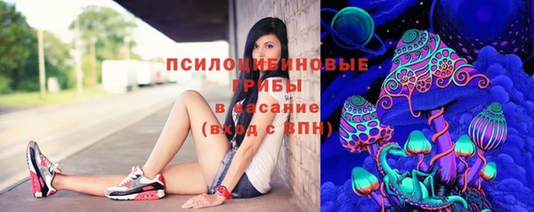спиды Алексин